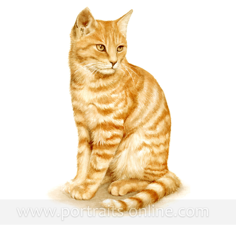 Watercolour Cat Portrait PAinting of a Ginger Cat